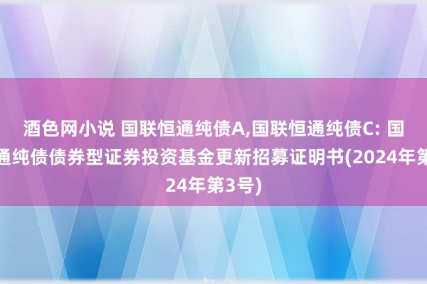 酒色网小说 国联恒通纯债A，国联恒通纯债C: 国联恒通纯债债券型证券投资基金更新招募证明书(2024年第3号)