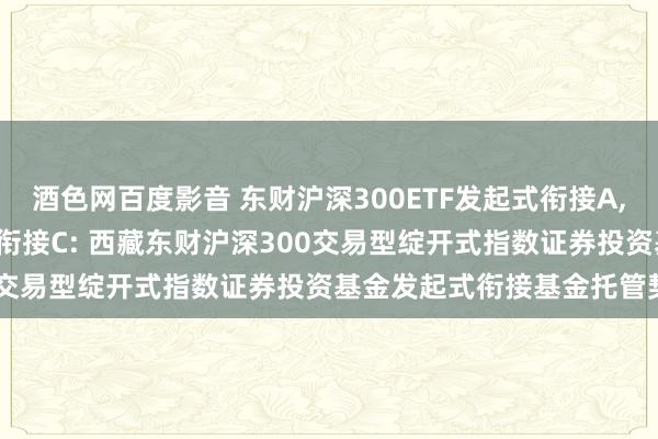 酒色网百度影音 东财沪深300ETF发起式衔接A，东财沪深300ETF发起式衔接C: 西藏东财沪深300交易型绽开式指数证券投资基金发起式衔接基金托管契约