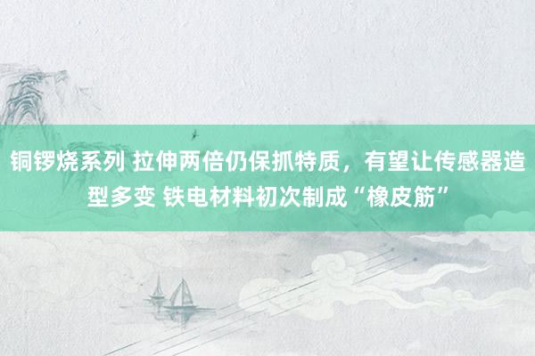 铜锣烧系列 拉伸两倍仍保抓特质，有望让传感器造型多变 铁电材料初次制成“橡皮筋”