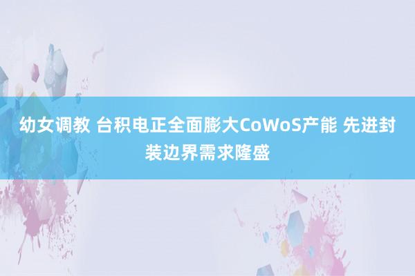 幼女调教 台积电正全面膨大CoWoS产能 先进封装边界需求隆盛