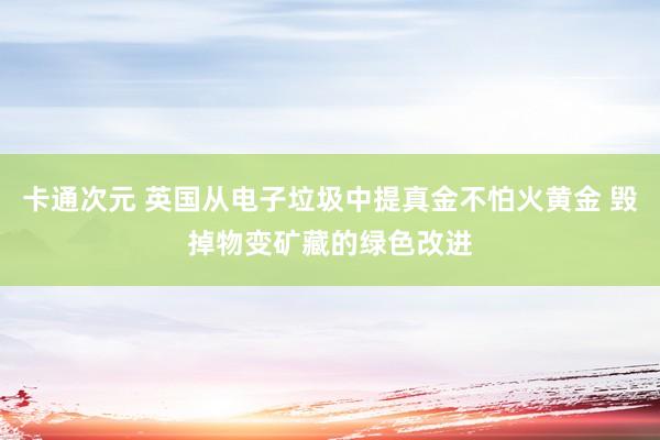 卡通次元 英国从电子垃圾中提真金不怕火黄金 毁掉物变矿藏的绿色改进