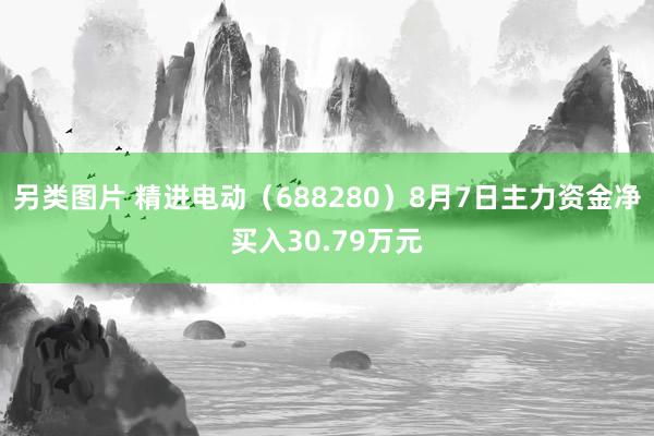 另类图片 精进电动（688280）8月7日主力资金净买入30.79万元