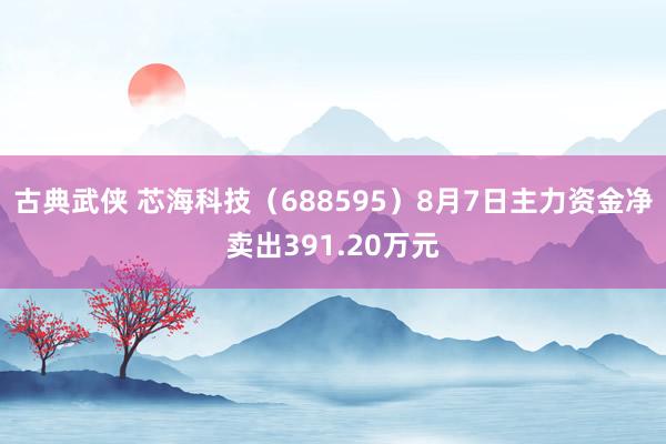 古典武侠 芯海科技（688595）8月7日主力资金净卖出391.20万元