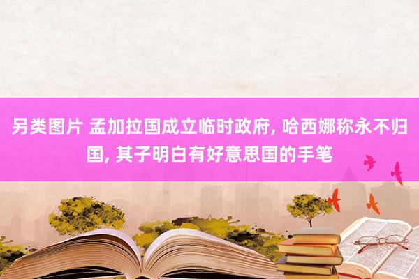 另类图片 孟加拉国成立临时政府， 哈西娜称永不归国， 其子明白有好意思国的手笔