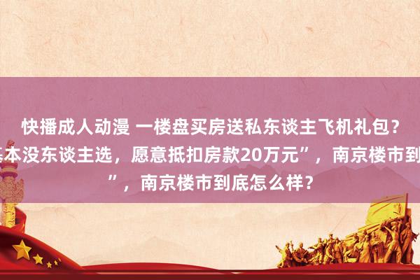 快播成人动漫 一楼盘买房送私东谈主飞机礼包？销售称“基本没东谈主选，愿意抵扣房款20万元”，南京楼市到底怎么样？