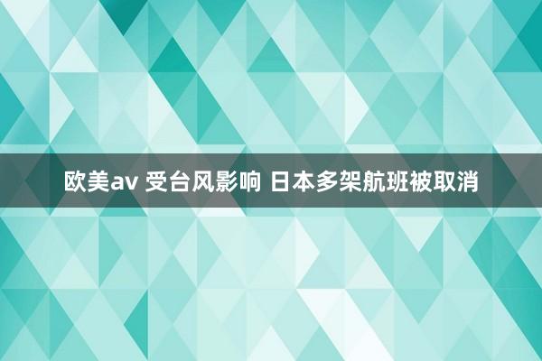 欧美av 受台风影响 日本多架航班被取消