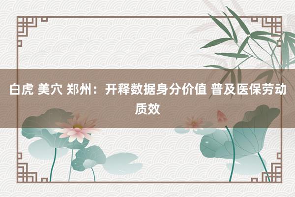 白虎 美穴 郑州：开释数据身分价值 普及医保劳动质效