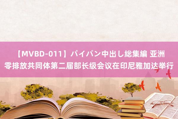 【MVBD-011】パイパン中出し総集編 亚洲零排放共同体第二届部长级会议在印尼雅加达举行