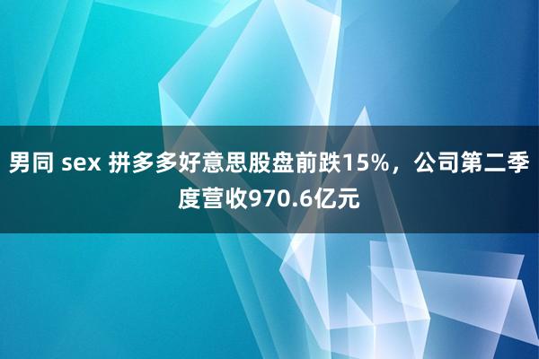 男同 sex 拼多多好意思股盘前跌15%，公司第二季度营收970.6亿元