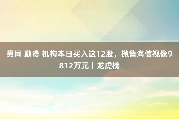 男同 動漫 机构本日买入这12股，抛售海信视像9812万元丨龙虎榜