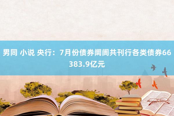 男同 小说 央行：7月份债券阛阓共刊行各类债券66383.9亿元