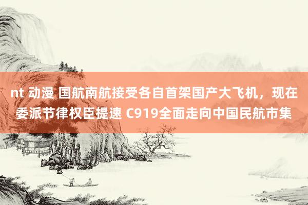 nt 动漫 国航南航接受各自首架国产大飞机，现在委派节律权臣提速 C919全面走向中国民航市集