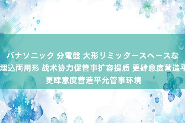 パナソニック 分電盤 大形リミッタースペースなし 露出・半埋込両用形 战术协力促管事扩容提质 更肆意度营造平允管事环境