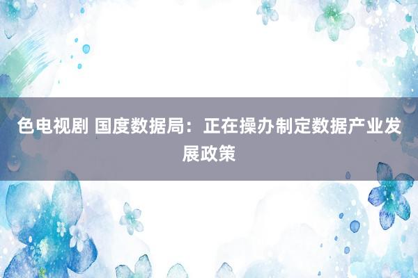 色电视剧 国度数据局：正在操办制定数据产业发展政策