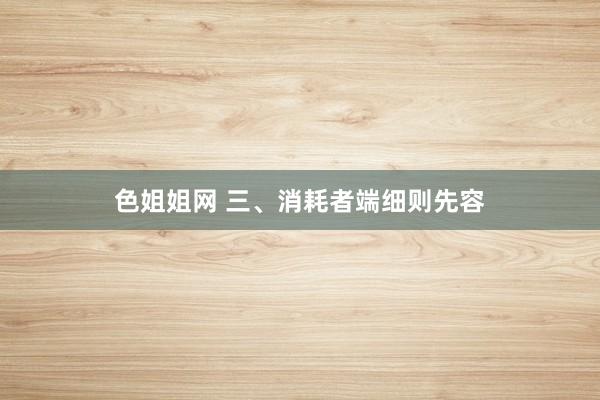 色姐姐网 三、消耗者端细则先容