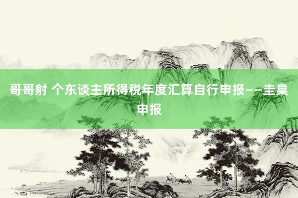 哥哥射 个东谈主所得税年度汇算自行申报——圭臬申报