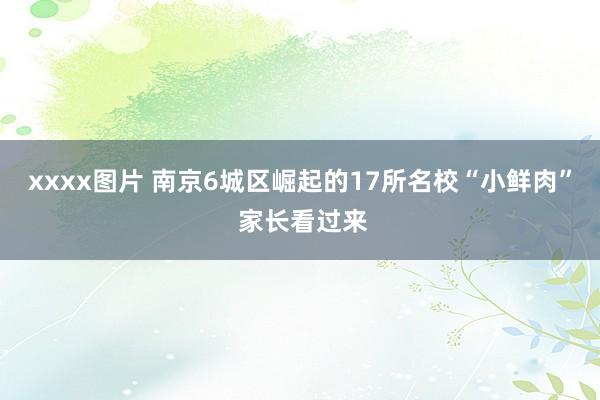 xxxx图片 南京6城区崛起的17所名校“小鲜肉” 家长看过来